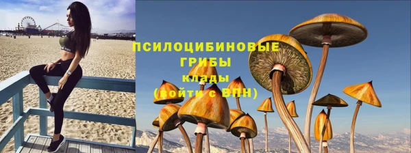 mdpv Киренск